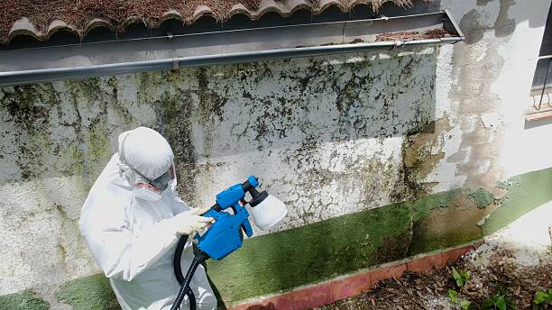 Trusted Commercial Mold Remediation service in Aaronsburg, PA - Cheap Mold Removal